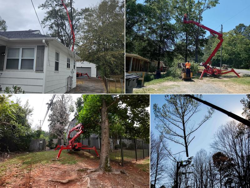 Champion Tree Service
