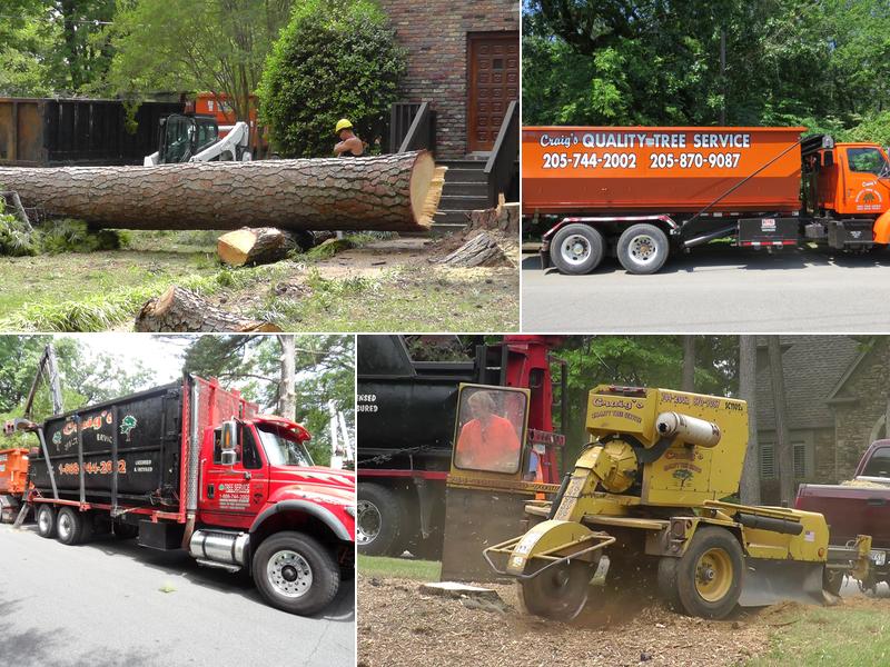 Craig's Quality Tree Service Birmingham