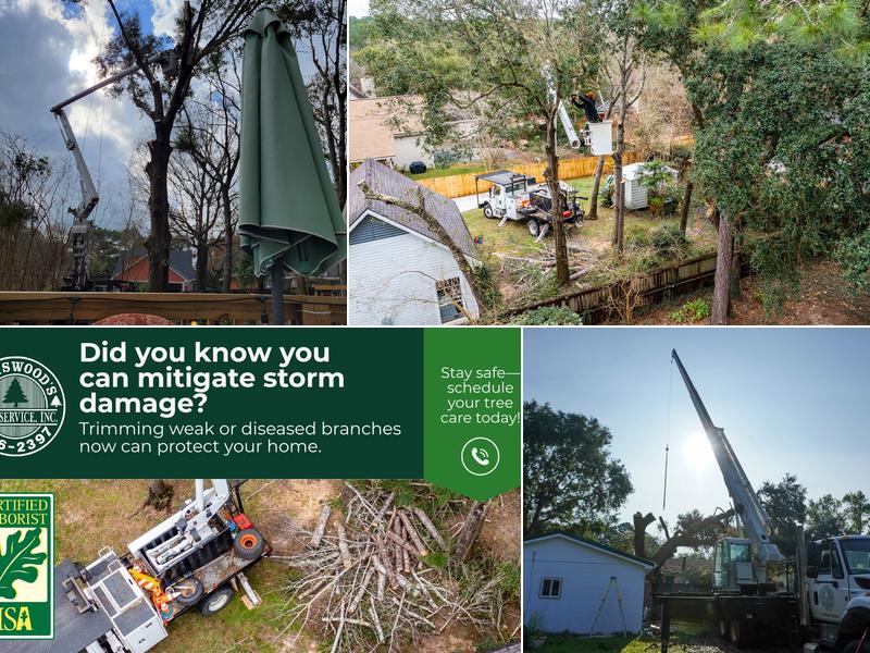 Spotswood's Tree Service