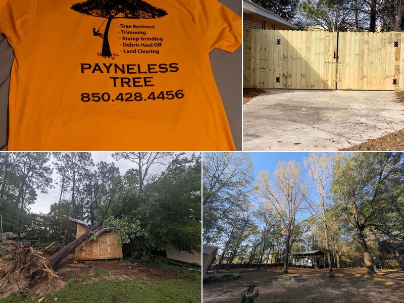 Payneless Tree Removal LLC
