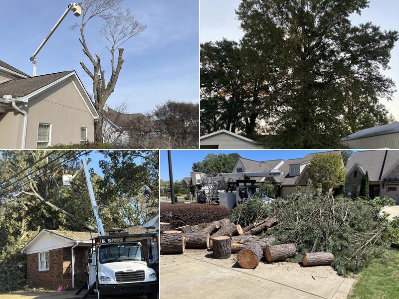 Triple J Tree Service