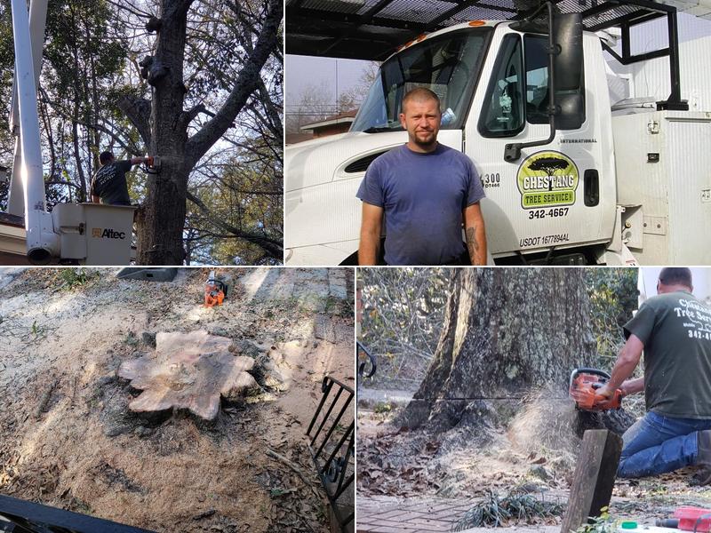 Chestang Tree Service