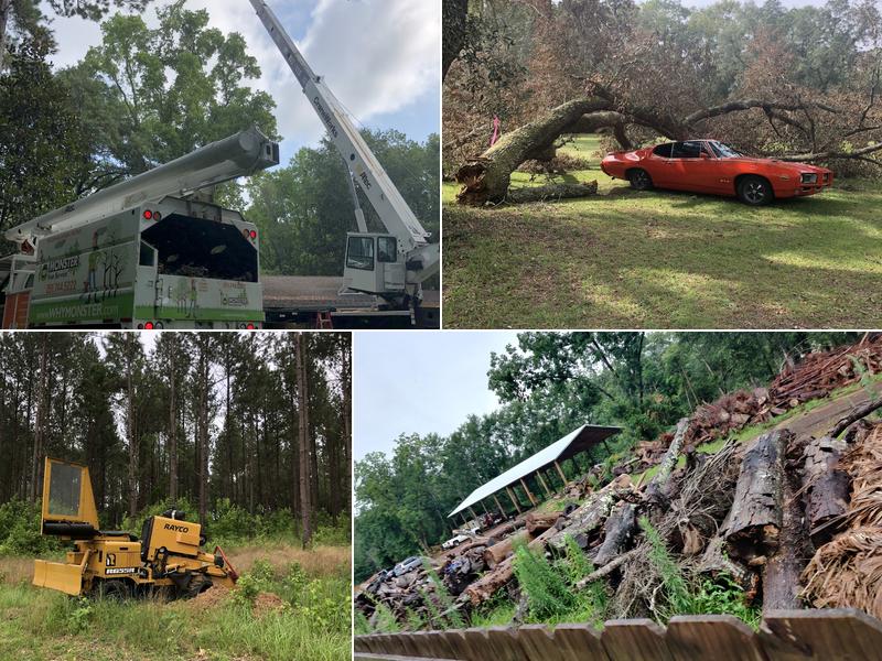 Monster Tree Service of Baldwin County