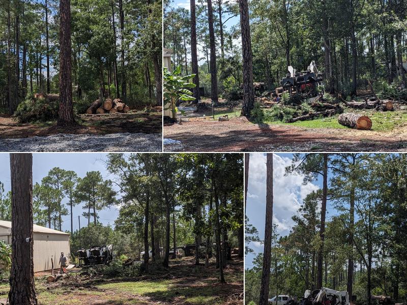 Heaven Sent Tree Service and Recovery LLC.