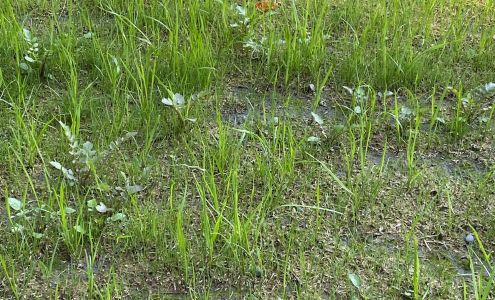 Blackhawk Works LLC 2368 Dawson Rd, North Pole Alaska 99705