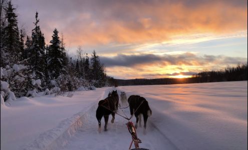 Alaska's Trail King Adventures Salcha