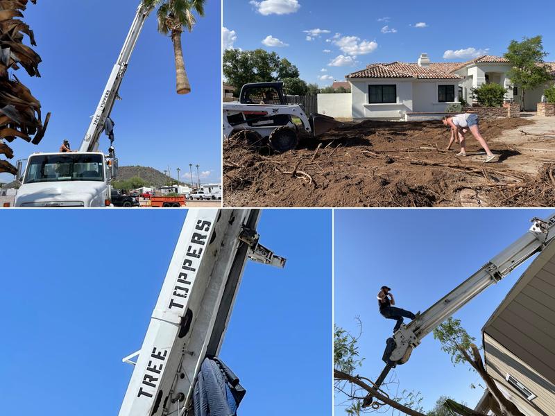 Phoenix Tree Toppers LLC