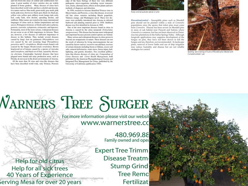 Warner's Tree Surgery