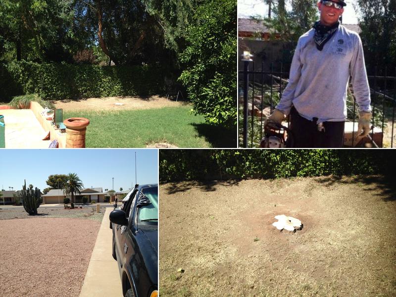 JB Bolton Tree Division