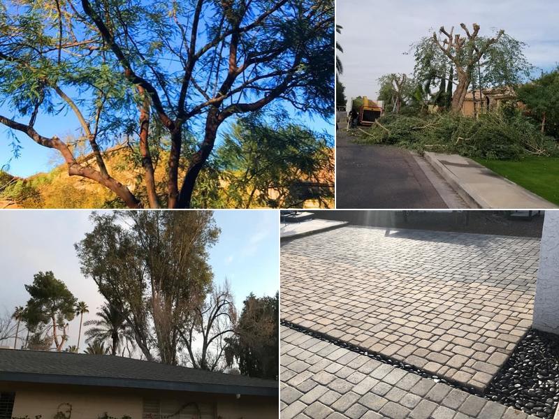 JR’s Tree and Landscape Services