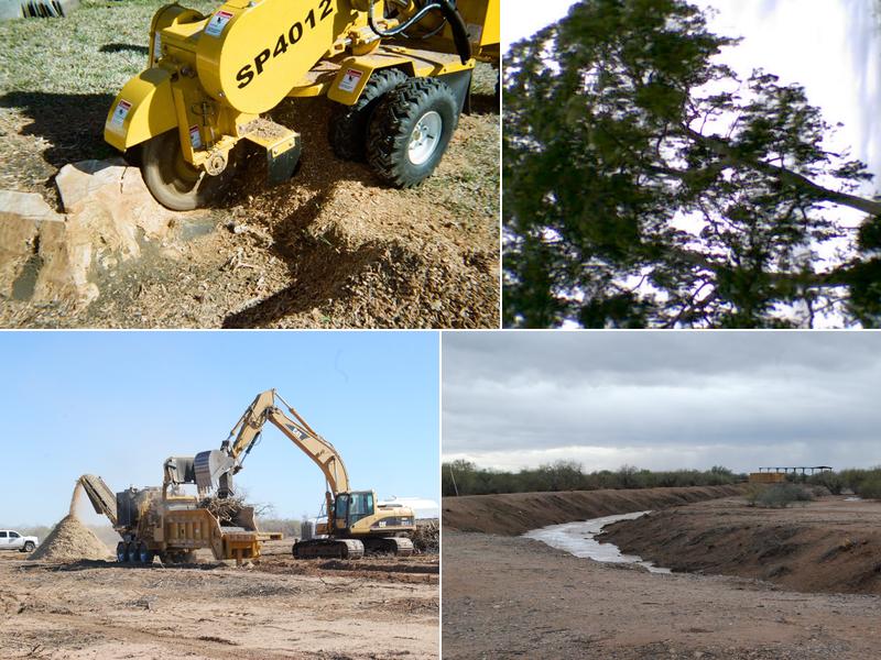 Phoenix Trim a Tree LLC