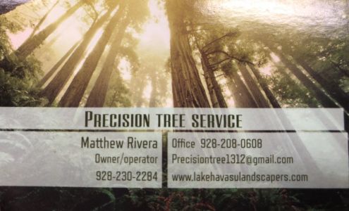 Precision Tree Service Lake Havasu City 3065 Ranchero Dr #6129, Lake Havasu City Arizona 86406
