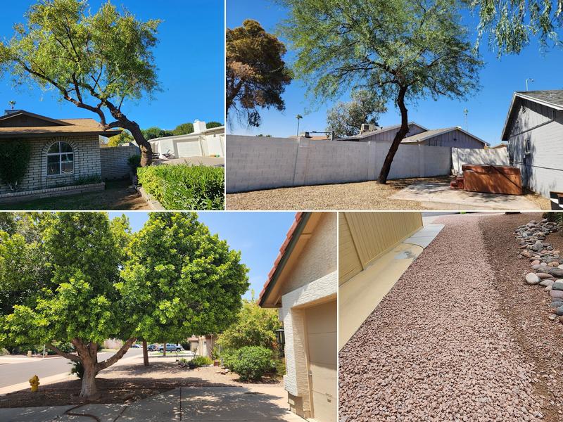 Julio Tree Care & Landscaping