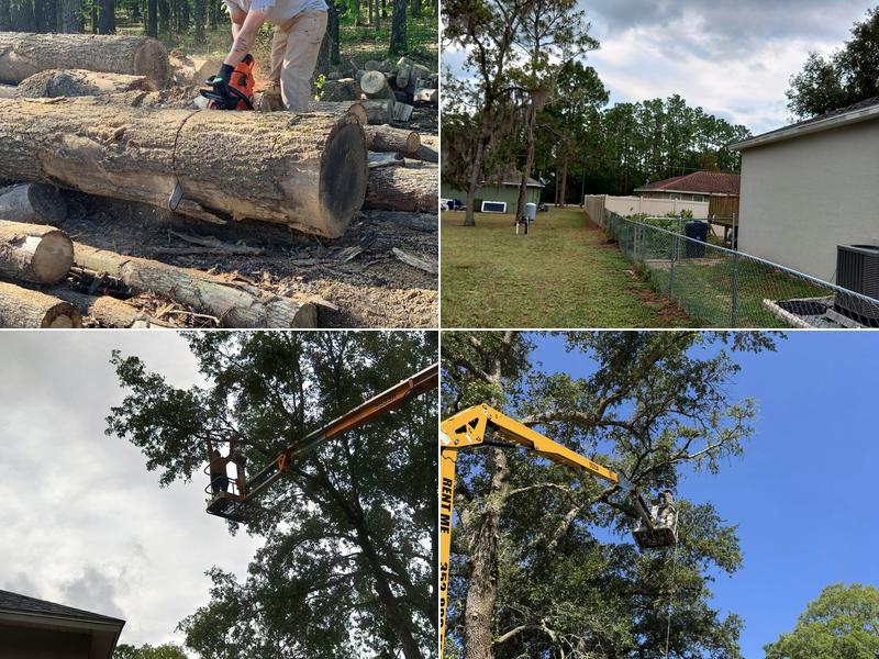 Deep Root Tree Service, LLC