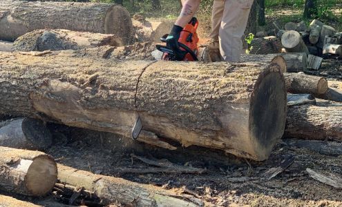 Deep Root Tree Service, LLC