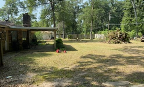 Holyfield Tree Services