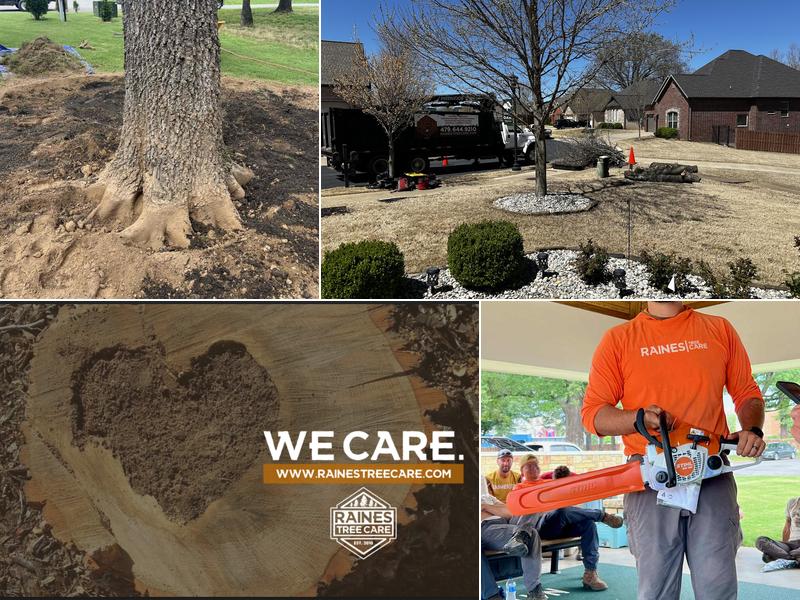 Raines Tree Care