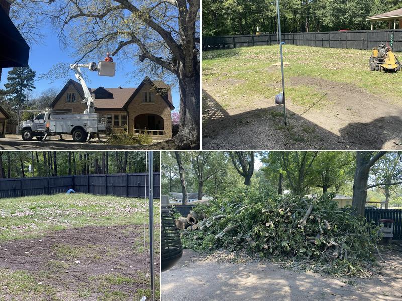 Moore Affordable Tree Services