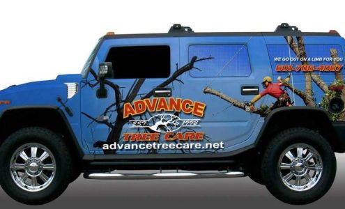 Advance Tree Care