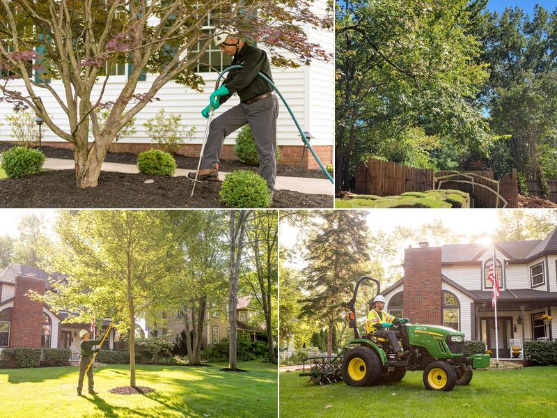 The Davey Tree Expert Company