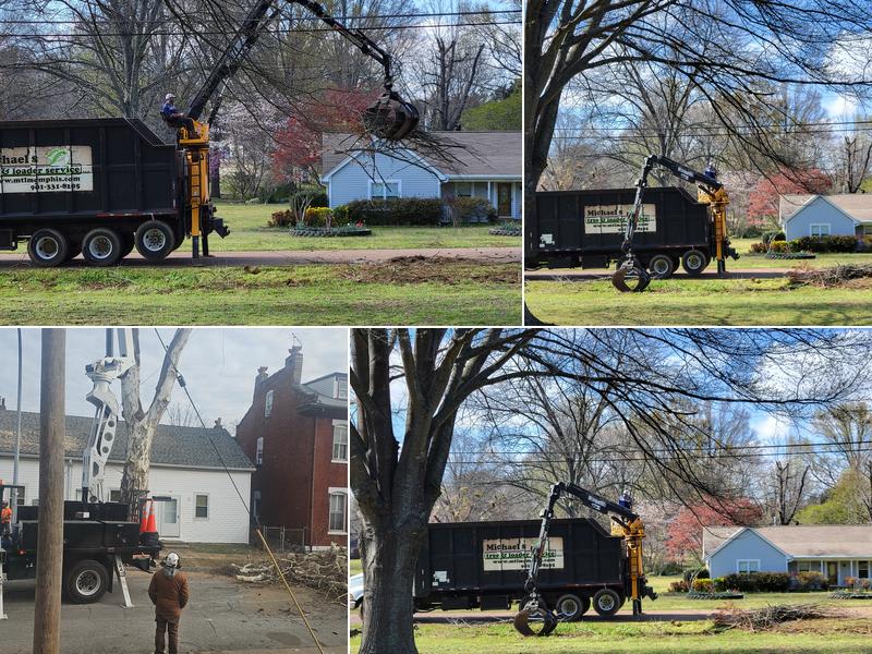 Michael's Tree & Loader Service