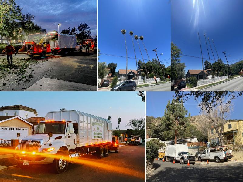 M&M Tree Service Inc.