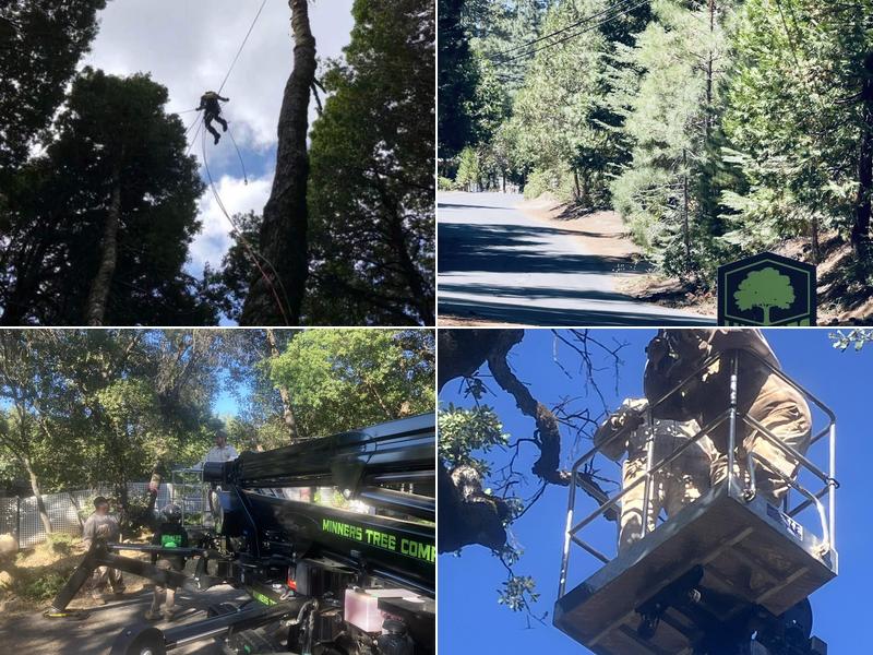 Minners Tree Company