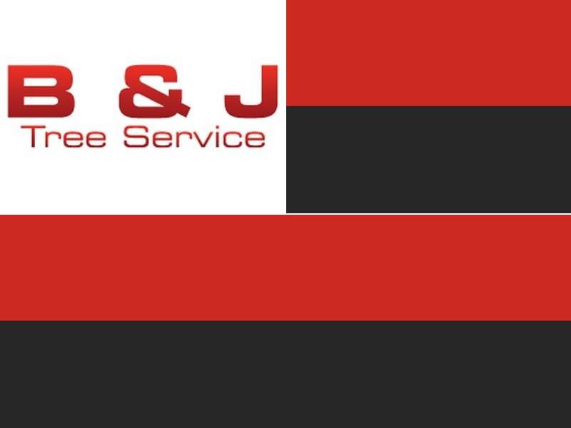 B & J Tree Service