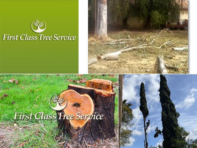 First Class Tree Service