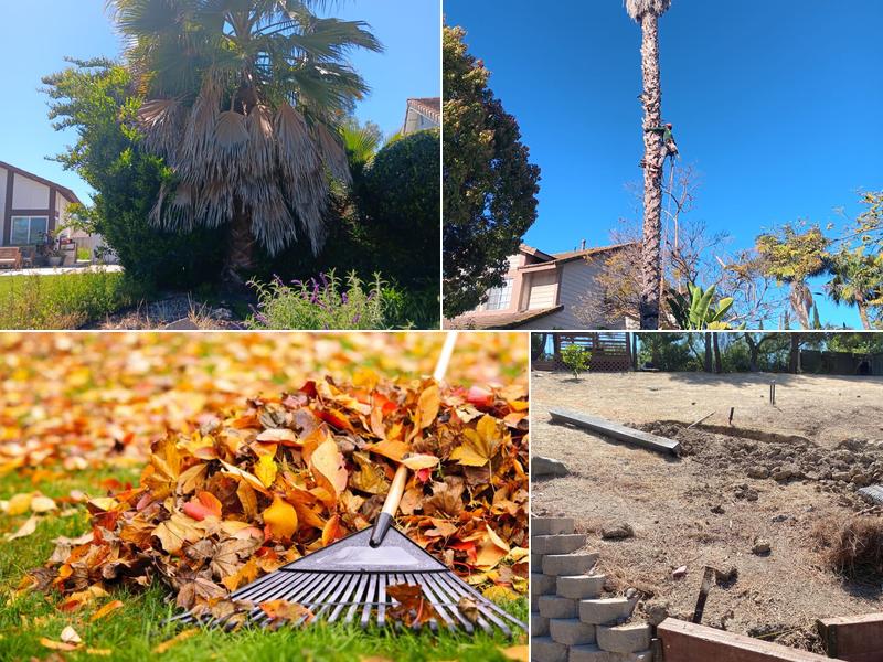 Lucas Landscaping & Tree Services