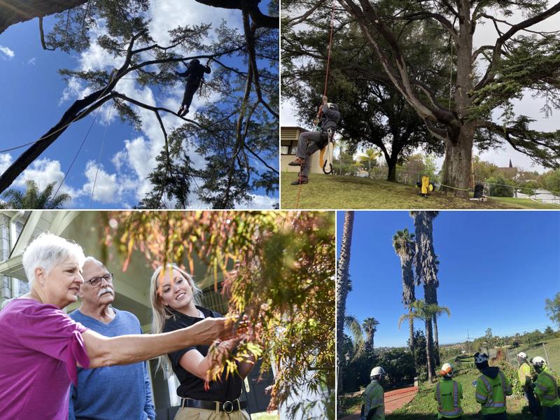 The Davey Tree Expert Company