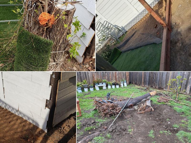 Tom 4 Stumps - Tree Stump Grinding & Root Removal