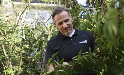 The Davey Tree Expert Company