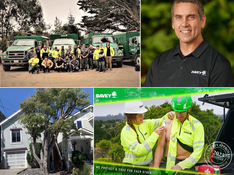 The Davey Tree Expert Company