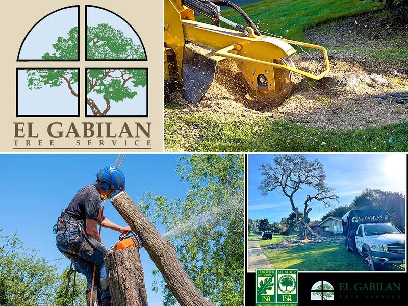 El Gabilan Tree Service
