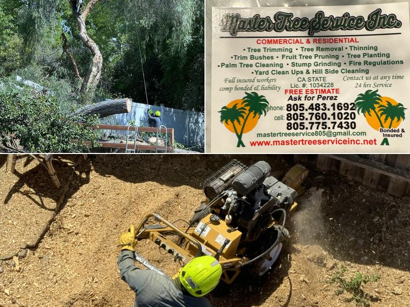 Master Tree Service, Inc.