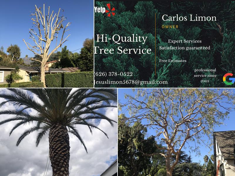 Hi-Quality Tree Service