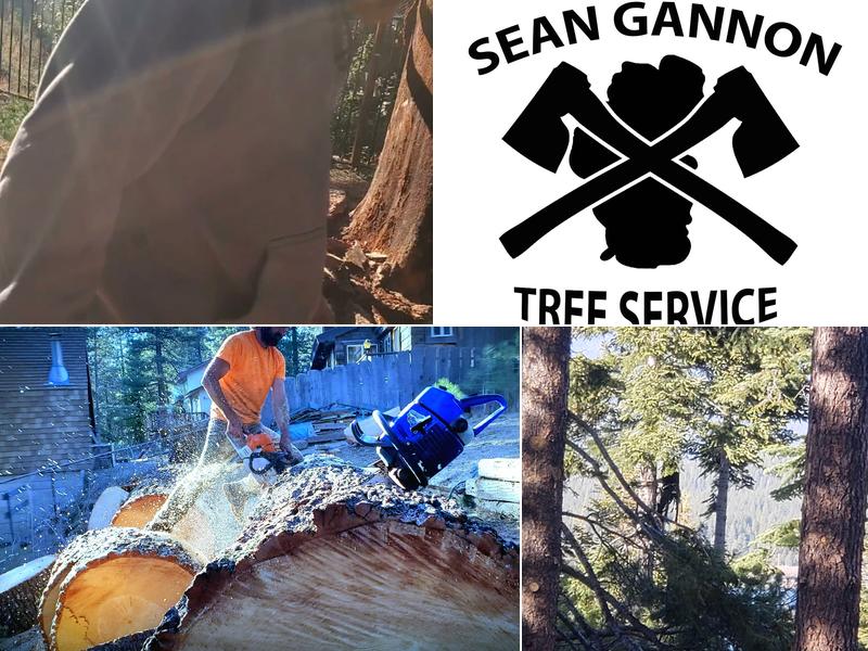 SEAN GANNON TREE SERVICE