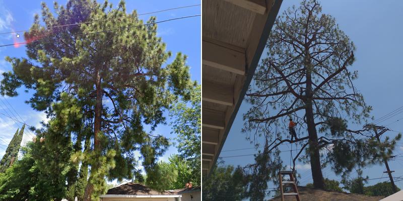 MILLAN TREE SERVICE INC.