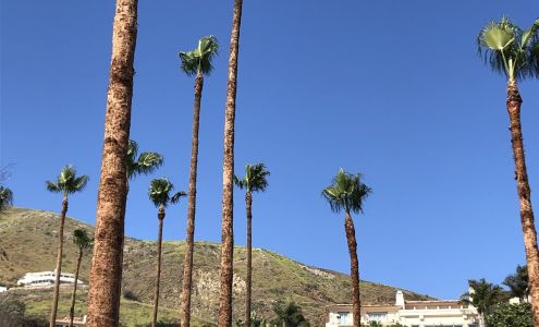 Green All Season Tree Service Inc