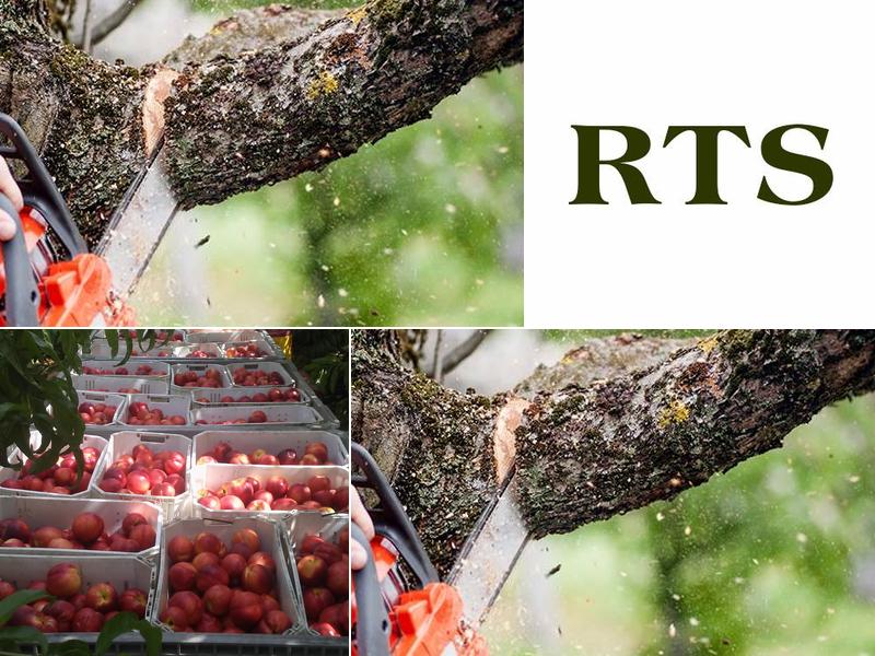 Richard's Tree Service