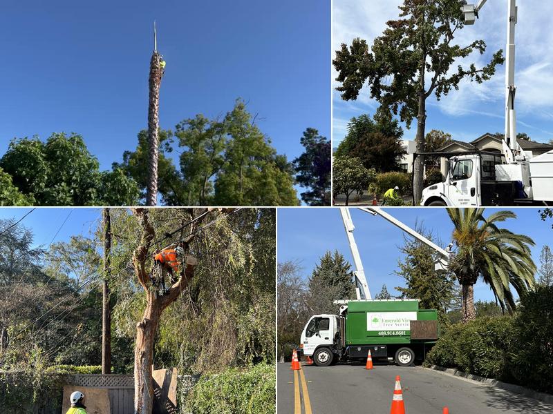 Emerald View Tree Service, INC