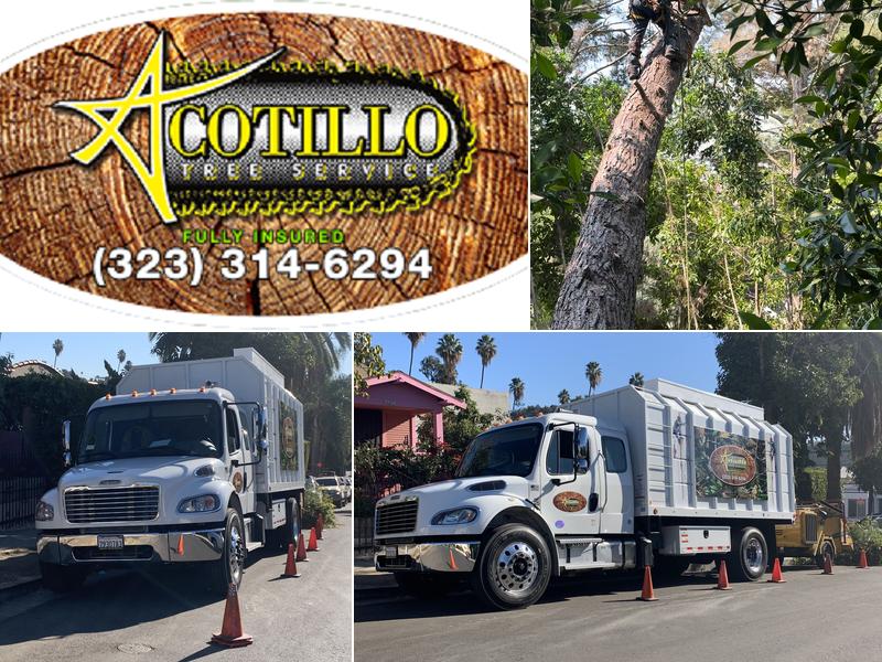 Acotillo Tree Service Inc