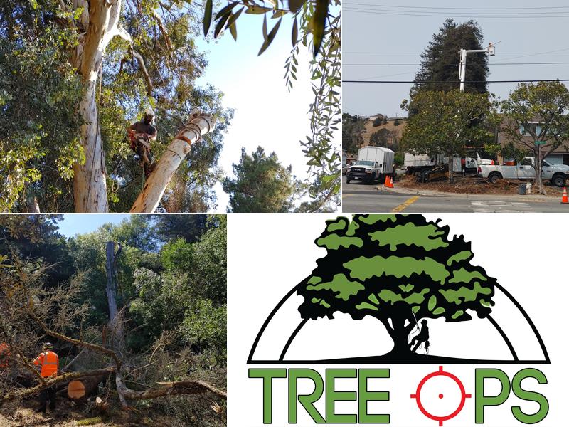 Tree Ops LLC