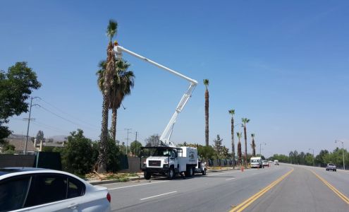 Lopez Tree Maintenance Inc