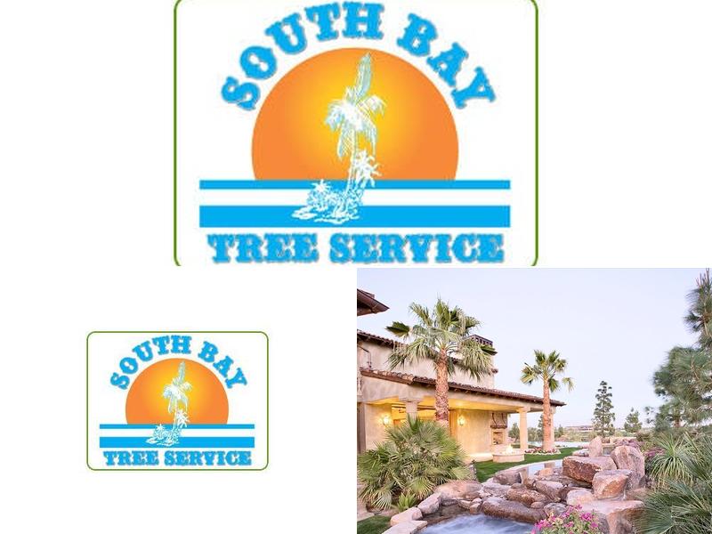 South Bay Tree Service