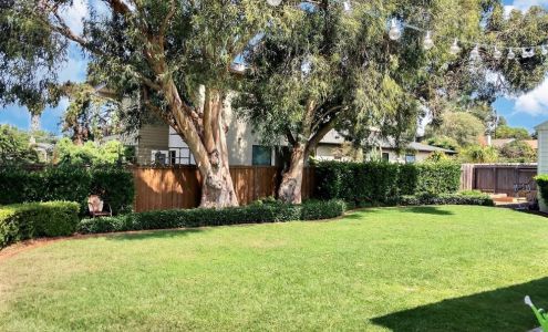 Vista Tree Service, Inc 2270 Bautista Ave, Vista California 92084