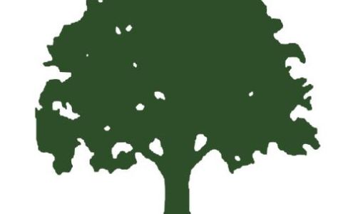 Williams Tree Services