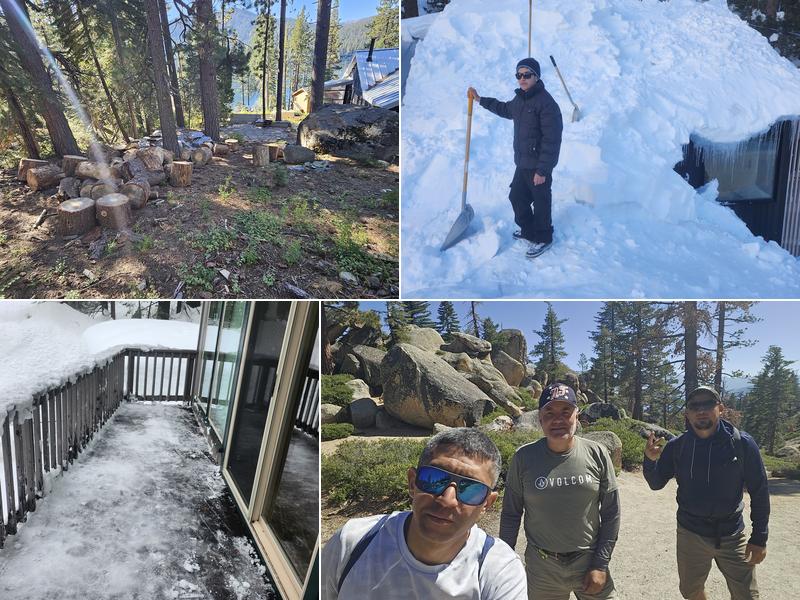 Family Yard Cleanup & Hauling