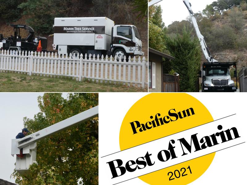 Marin Tree Service Inc.